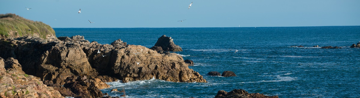 Baie de Cayola - Camping Château d'Olonne ©Auvinet