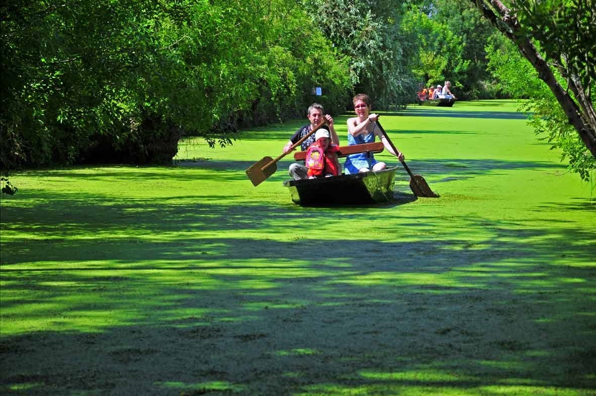 marais poitevin camping vendée