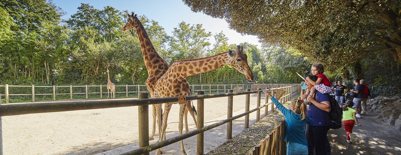 Que faire aux Sables_Zoo des Sables ©A.Lamoureux_Vendee_Expansion